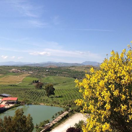 Ciuci'S Manor Villa Aragona Dış mekan fotoğraf