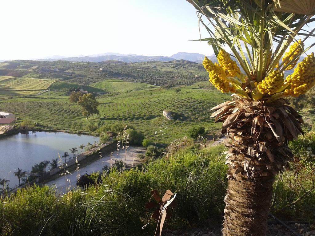 Ciuci'S Manor Villa Aragona Dış mekan fotoğraf