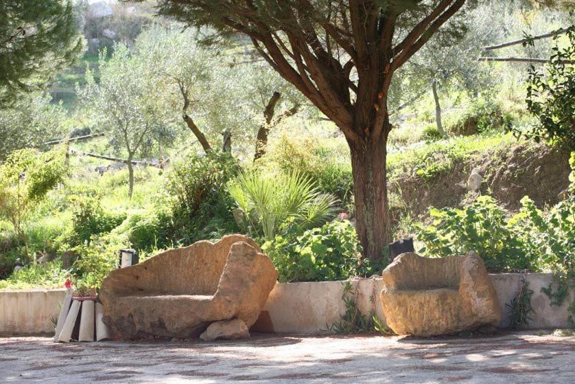 Ciuci'S Manor Villa Aragona Dış mekan fotoğraf