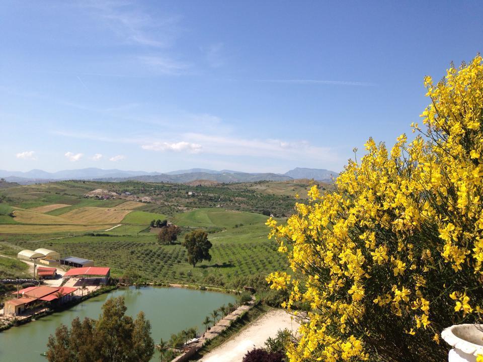 Ciuci'S Manor Villa Aragona Dış mekan fotoğraf