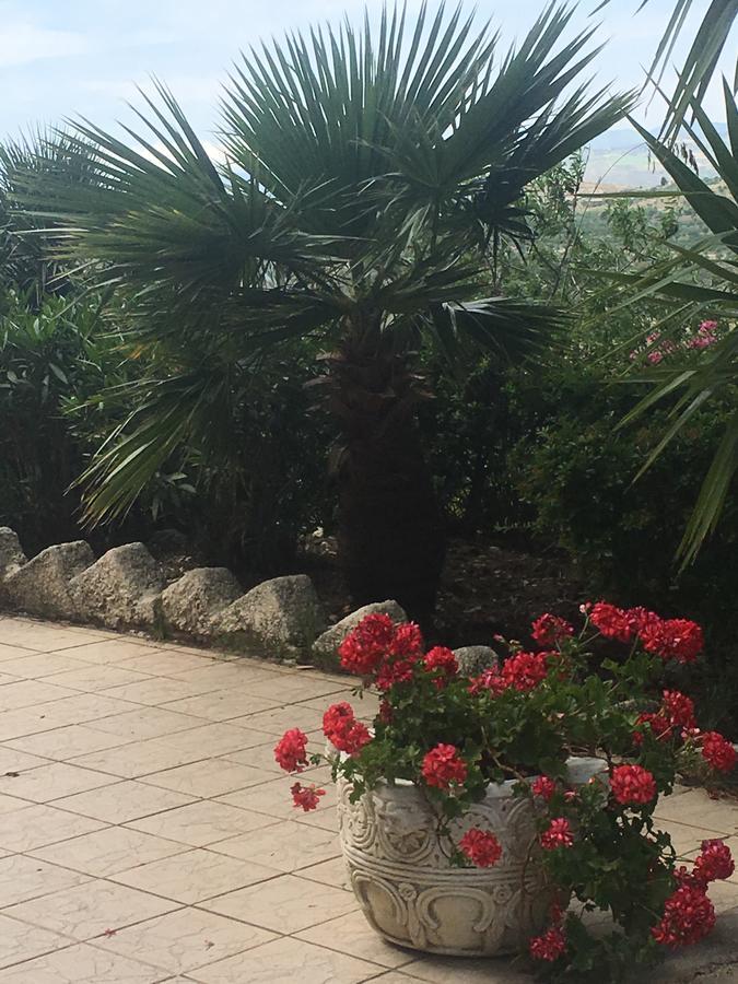 Ciuci'S Manor Villa Aragona Dış mekan fotoğraf