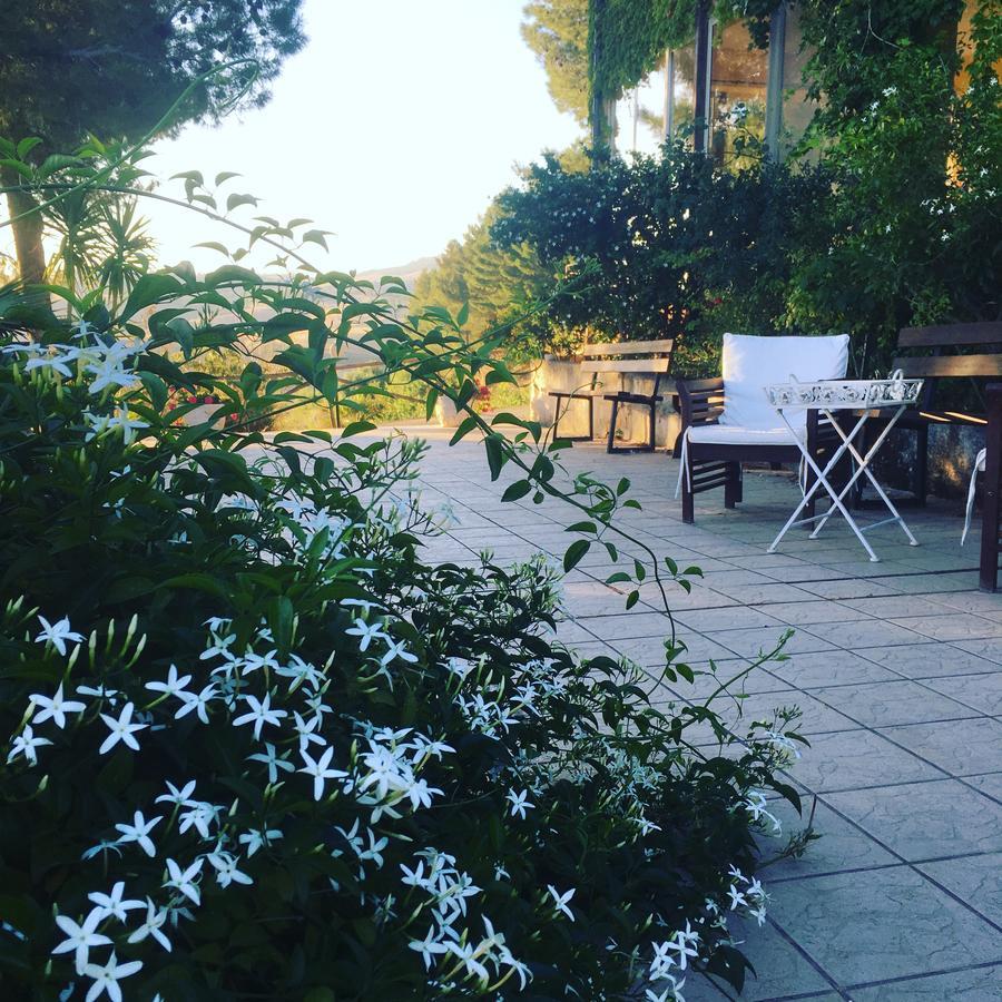Ciuci'S Manor Villa Aragona Dış mekan fotoğraf