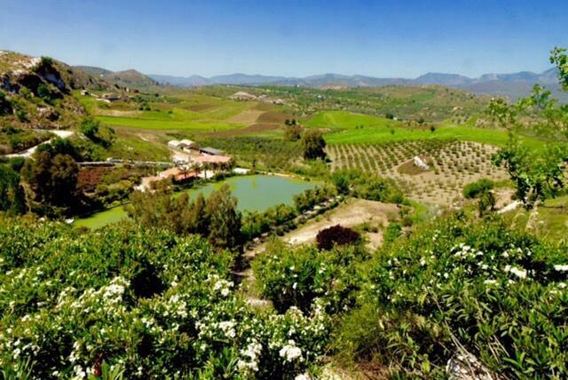 Ciuci'S Manor Villa Aragona Dış mekan fotoğraf