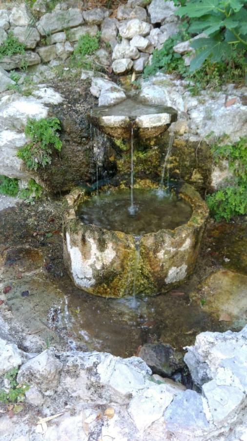 Ciuci'S Manor Villa Aragona Dış mekan fotoğraf